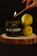ANJOU ORCHARD Candle